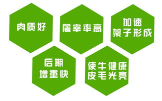 育肥牛精补料 肉牛精料补充料 黄牛水牛育肥催肥增重长肉快料精